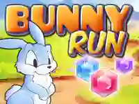 Cluiche Bunny Run ar líne