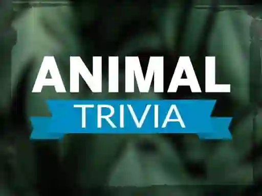 Cluiche Animal Trivia ar líne