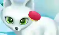 Cluiche Paws to Beauty Arctic Edition ar líne