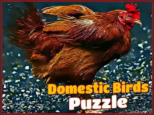 Cluiche Domestic Birds Puzzle ar líne