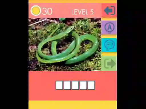 Cluiche 15 Picture Quiz ar líne