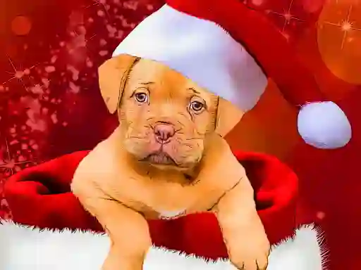 Cluiche Christmas Dogs Styles ar líne