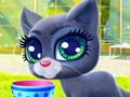 Cluiche Cat Shona  ar líne