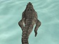 Cluiche Crogall Simulator Beach Hunt  ar líne