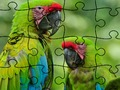 Cluiche Foraoise Rain Puzzle Jigsaw  ar líne