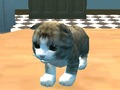 Cluiche Insamhlóir Cat: Kitty Ceardaíochta!  ar líne