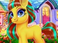 Cluiche Pony Shona  ar líne