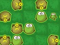 Cluiche Rush Frog  ar líne