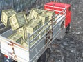 Cluiche Tiománaí Truck Offroad  ar líne