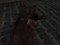 Cluiche Arm Zombie na Náisiúnach  ar líne
