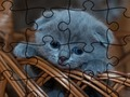 Cluiche Puzal Jigsaw: Cait  ar líne