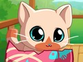 Cluiche Mo Phóca Peataí Kitty Cat  ar líne
