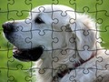 Cluiche Jigsaw Puzzle Ainmhithe Baile  ar líne