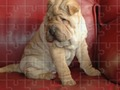 Cluiche Classic Jigsaw Puzzles Classic  ar líne