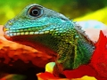 Cluiche Jigsaw Dragon Uisce na Síne  ar líne