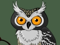Cluiche Cuimhne gleoite Owl  ar líne