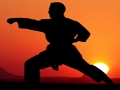 Cluiche Laochra Karate Sunset  ar líne