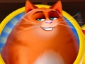 Cluiche Kitty scramble ar líne