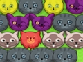 Cluiche Kitties pop-pop  ar líne