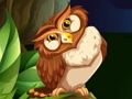 Cluiche Shooter Owl  ar líne
