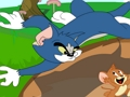Cluiche Tom Agus Jerry i gComhar  ar líne