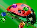 Cluiche Cluiche Ladybug3  ar líne