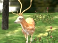 Cluiche Hunter Safari Ainmhithe 2020  ar líne