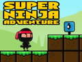 Cluiche Ninja Eachtraíochta Super  ar líne
