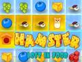 Cluiche Caillte Hamster i mBia  ar líne