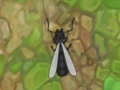 Cluiche Antwar. io  ar líne