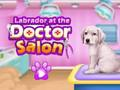 Cluiche Labradar ag an salon dochtúir  ar líne