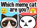 Cluiche Cén Cat Meme An bhfuil tú?  ar líne