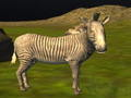 Cluiche Cluiche ar líne saor in aisce Real Jungle Ainmhithe Fiach  ar líne
