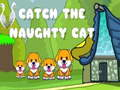 Cluiche Catch an cat dána  ar líne