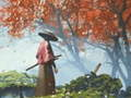 Cluiche Reflexion Samurai  ar líne