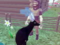 Cluiche Insamhlóir fianna 3D  ar líne