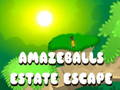 Cluiche Cluiche Líne Amazeballs Estate Escape  ar líne