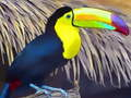 Cluiche Jigsaw Éan Toucan  ar líne