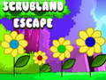 Cluiche Cluiche Líne Scrubland Escape  ar líne