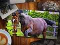 Cluiche Cluiche Jigsaw Puzzle Capall Edition  ar líne