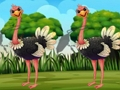 Cluiche Faigh an chlib Ostrich  ar líne