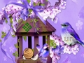 Cluiche Éalú Talún Iontach Humming Bird  ar líne