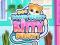 Cluiche Máinliacht Kitty Doc HoneyBerry  ar líne