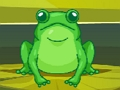 Cluiche Cluiche Frog Match Máistir  ar líne