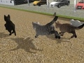 Cluiche Rith Cat Cat Rás  ar líne