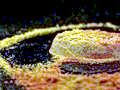Cluiche Jigsaw Púdar  ar líne