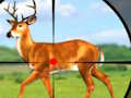 Cluiche Wild Hunt Cluichí Fiach 3D  ar líne