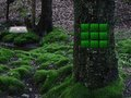 Cluiche Cluiche Gafa Grá Dove Escape  ar líne