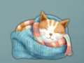 Cluiche Éalú Adorable Faigh Kitten gleoite  ar líne