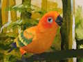 Cluiche Cluiche Líne Puzal Budgie gleoite  ar líne